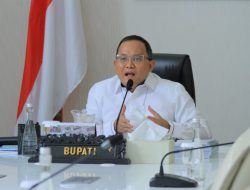 Bupati Muba Jadi Narasumber Muba Environment Webinar Forum 2021