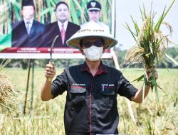 Pemkab Muba Wujudkan Petani Mandiri dan Melek Teknologi Bersama Tim IPB