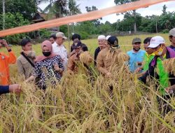 Muhammad Yamin,Kami Apresiasi Kinerja Gapoktan Berkat Yakin Desa Ulak Teberau dan PPL Lawang Wetan
