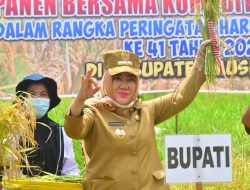 Semarak Peringatan Hari Pangan Sedunia, Bupati Mura Lakukan Panen Raya Padi
