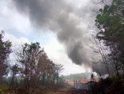 Kembali Sumur Bor Ilegal Milik “RZ” Terbakar,Diduga Desa keban 1 Jadi Lautan Api.