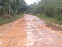 Warga Desa Tanjung Keputran Dan Sialang agung Harapkan Perbaikan Jalan Penghubung Desa