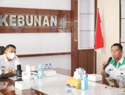 Muba Pastikan Jadi Tuan Rumah Terbaik Liga Nusantara