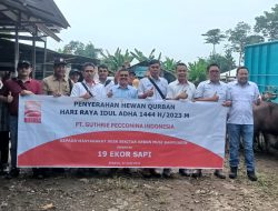 PT GPI Salurkan 19 Ekor Sapi Untuk Kurban ke Pemkab Musi Banyuasin