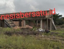 Diduga Bangunan Stadion Mini di Kecamatan Lalan mangkrak