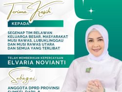 PKB: Elvaria Dipastikan Duduk di DPRD Provinsi Sumsel Davil 8