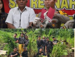 9 jam Berjalan Kaki, Kapolres Empat Lawang Temukan 2 HA Ladang Ganja