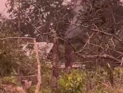 Diduga Bebas Aktivitas Penyulingan minyak Ilegal Driling Terkesan Tak Tersentuh Hukum