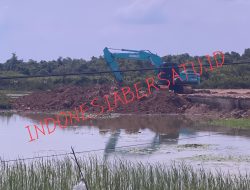 Aktivitas Galian C Diduga Ilegal Milik Majid Bebas Menjual dan Mengangkut, Aparat Diminta Bertindak Tegas
