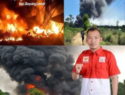 Kebakaran Sumur Minyak Ilegal di Kali Berau: Empat Warga Tewas, Polisi Plin-Plan! Ketua PWRI Muba Desak Kapolri Turun Tangan