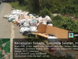 Adipura di Atas Panggung, Gunung Sampah di Jalanan: Warga Pertanyakan Kinerja DLH Muba