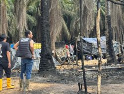 Api Berkobar di MUBA: Kebakaran Sumur Minyak Ilegal Terus Terjadi, Ada Dugaan ‘Orang Kuat’ Terlibat