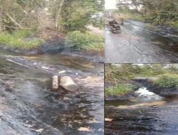 Pembiaran Pencemaran Lingkungan di Toman Baru Disorot Tajam, DLH Muba dan APH Dinilai Gagal Jalankan Fungsi Pengawasan