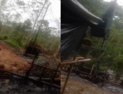 Dugaan Puluhan Hektar Laham Milik Eks Kades Jadi “Surganya” Ilegal Drilling di Musi Banyuasin, Hukum Seolah Tak Berdaya