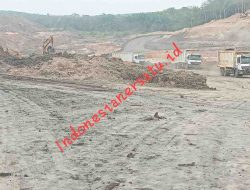 Subkontraktor Tambang Disorot: PT Mega Putra Perkasa Diduga Tak Kantongi IUJP, Puluhan Dump Truk Berplat Luar Daerah Beroperasi di Muba