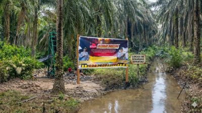 Wibawa Negara Dipertaruhkan: Illegal Drilling Menggila di Lahan HGU GPI Muba, Regulasi Hanya Jadi Pajangan