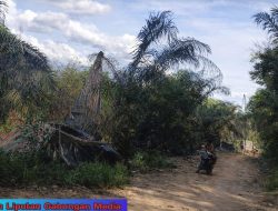 Skandal Ilegal Drilling di Muba Terkuak, Dugaan Dedi Deng dan Iran Warga Pangkal Jaya Kelola Sumur Minyak Ilegal di Macang Sakti