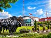 ​Ada Apa dengan Sapi Kurban Bantuan Presiden di Muba? Kesra Setda Memilih Diam