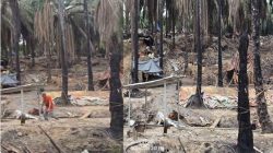 ​Publik Tagih Janji Polri “Zero Ilegal Migas”: Sumur Minyak Ilegal di HGU PT Hindoli Diduga Aktif Lagi