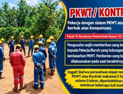 ​Kerja 4 Tahun di Wilayah Migas, Ditawari Kompensasi Rp1–1,5 Juta: 25 Eks Pekerja PT Tonsco International Minta Haknya Dibayar Sesuai dengan Ketentuan yang Berlaku
