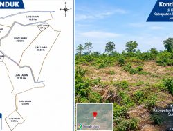 Ratusan Hektare Usaha Perkebunan Kayu Meranti di Desa Epil, Diduga Tak Mengantongi Izin, Pemkab Muba Diminta Turun Tangan